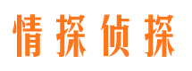 亭湖情探私家侦探公司